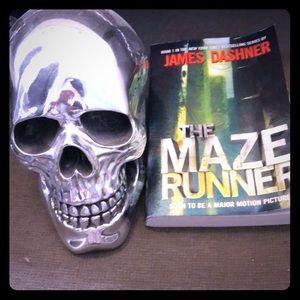 The Maze Runner
